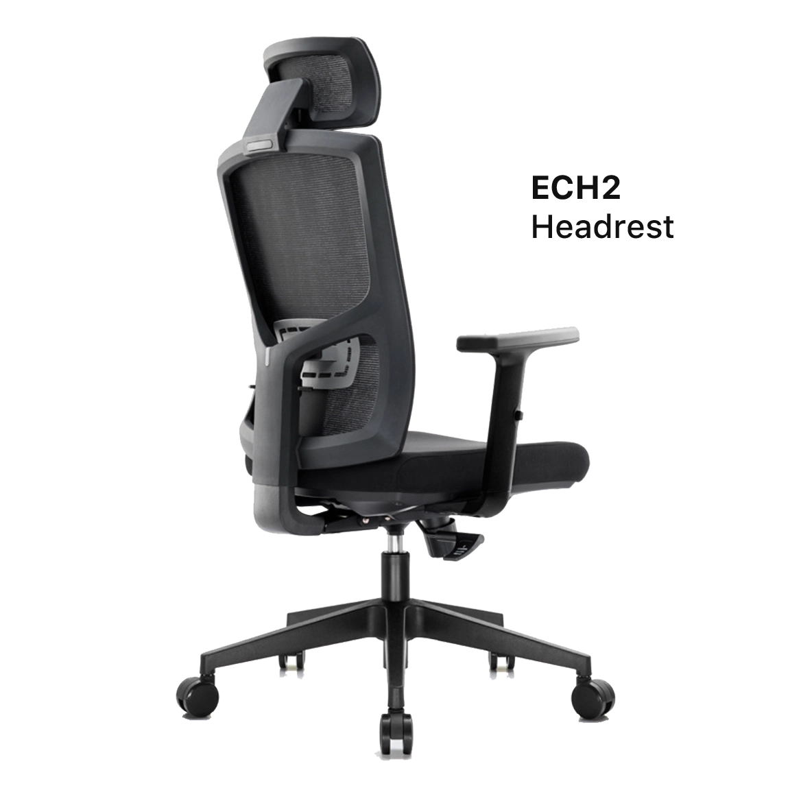 Ergonomic Chair